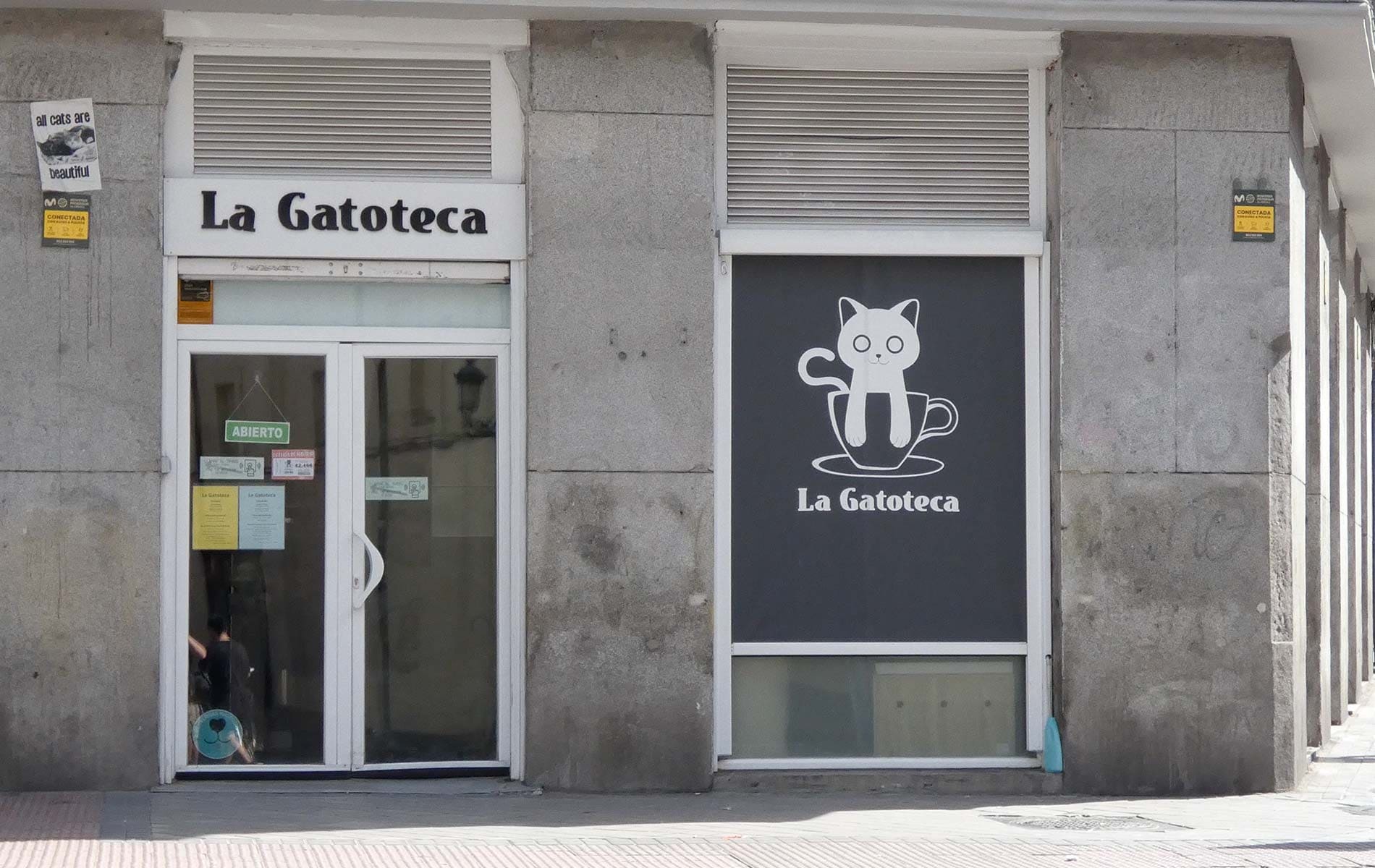14º La gatoteca. Qué ver en Madrid con niños. 14º La gatoteca.