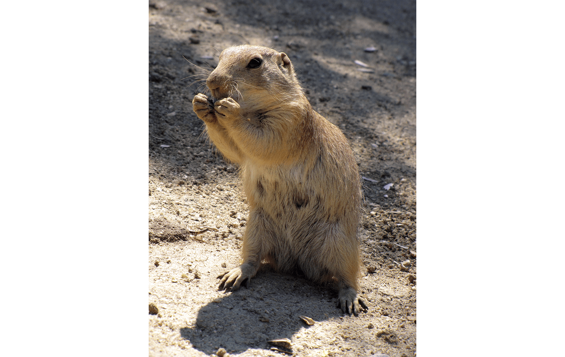 4º Faunia. Qué ver en Madrid con niños. 4º Faunia.