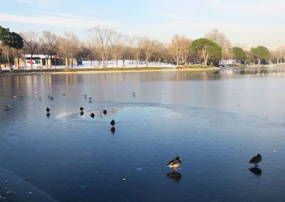 MADRID NEVADO - LAGO CASA DE CAMPO.