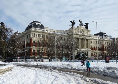 MADRID NEVADO - MINISTERIO AGRICULTURA.